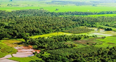 Serviços de Monitoramento Ambiental