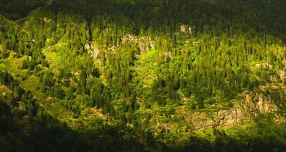 Sensores Térmicos para Monitoramento Ambiental
