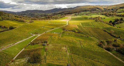 Serviços de Topografia Rural