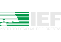 IEF