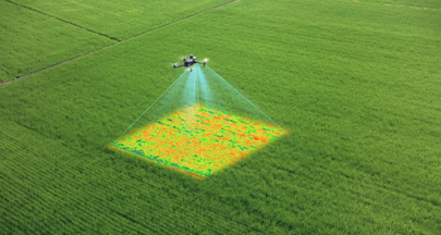 Análise Multiespectral de Vegetação